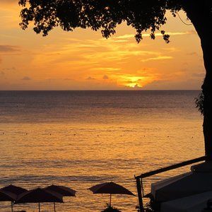 Meet your Posher, Tegan